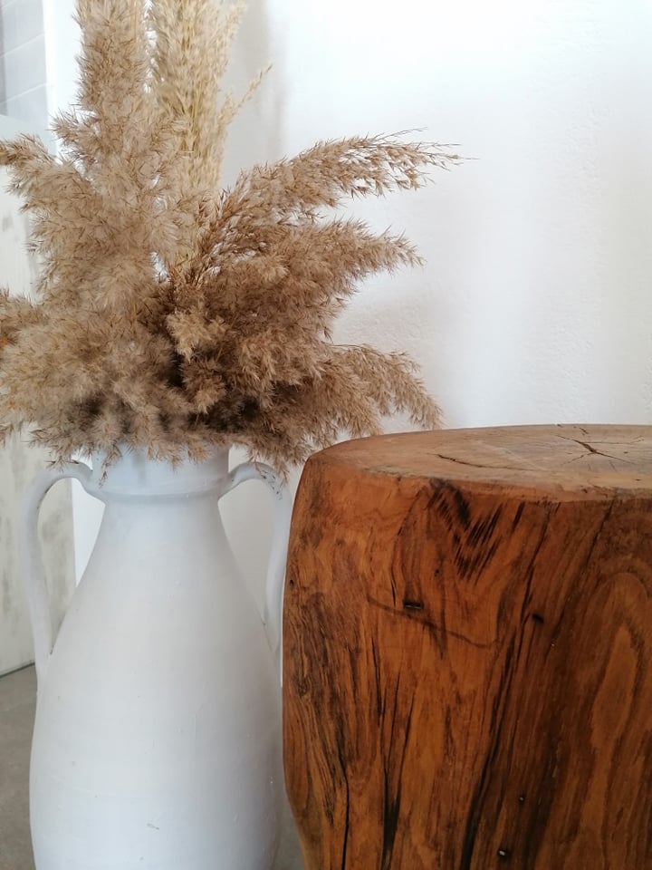 276025511_707926673565131_694255790721417663_n